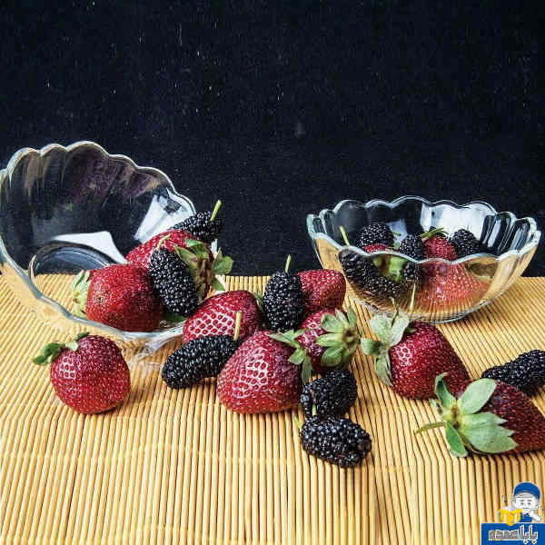 کاسه ماست خوری کاوه مدل مارال